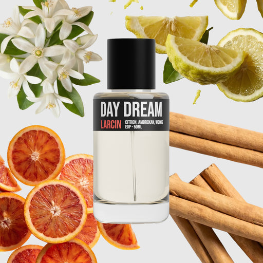 Day Dream scent notes — citrus, tea, ginger, amber, soft woods, inspired by Louis Vuitton Imagination – Larcin