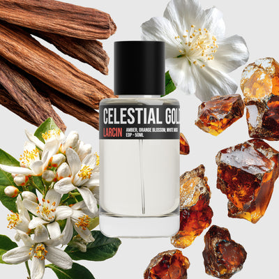 Celestial Gold scent notes — orange blossom, amber, musk, inspired by Louis Vuitton Stellar Times – Larcin