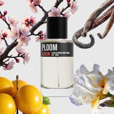 Ploom scent notes — ripe plum, airy citrus, soft florals, clean musk, inspired by Jo Malone Plum Blossom – Larcin