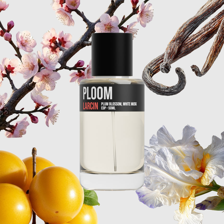 Ploom scent notes — ripe plum, airy citrus, soft florals, clean musk, inspired by Jo Malone Plum Blossom – Larcin