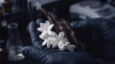 Real fragrance ingredients used in Larcin perfumes
