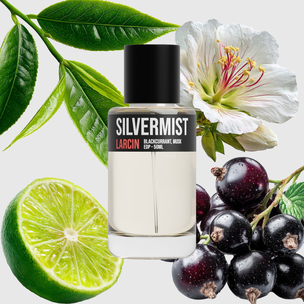 Silvermist scent notes — bergamot, blackcurrant, green tea, musk, sandalwood, inspired by Creed Silver Mountain Water – Larcin